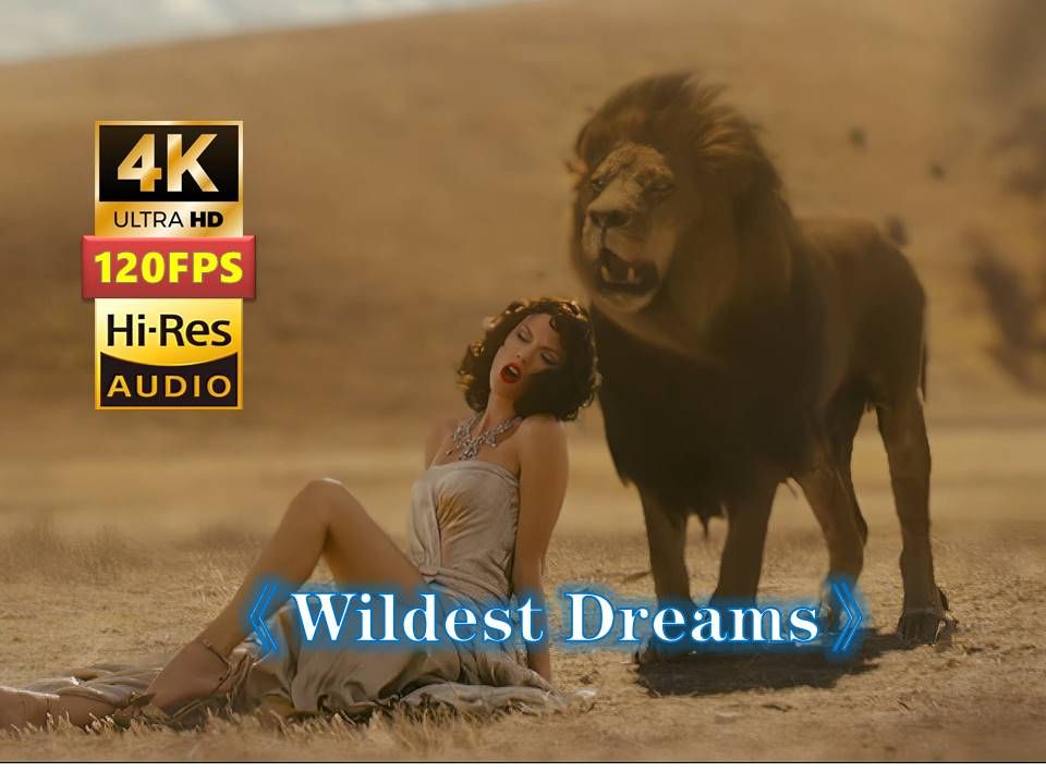 敢欺负我妹子《wildest dreams》狂野的梦taylor swift霉霉4k120帧
