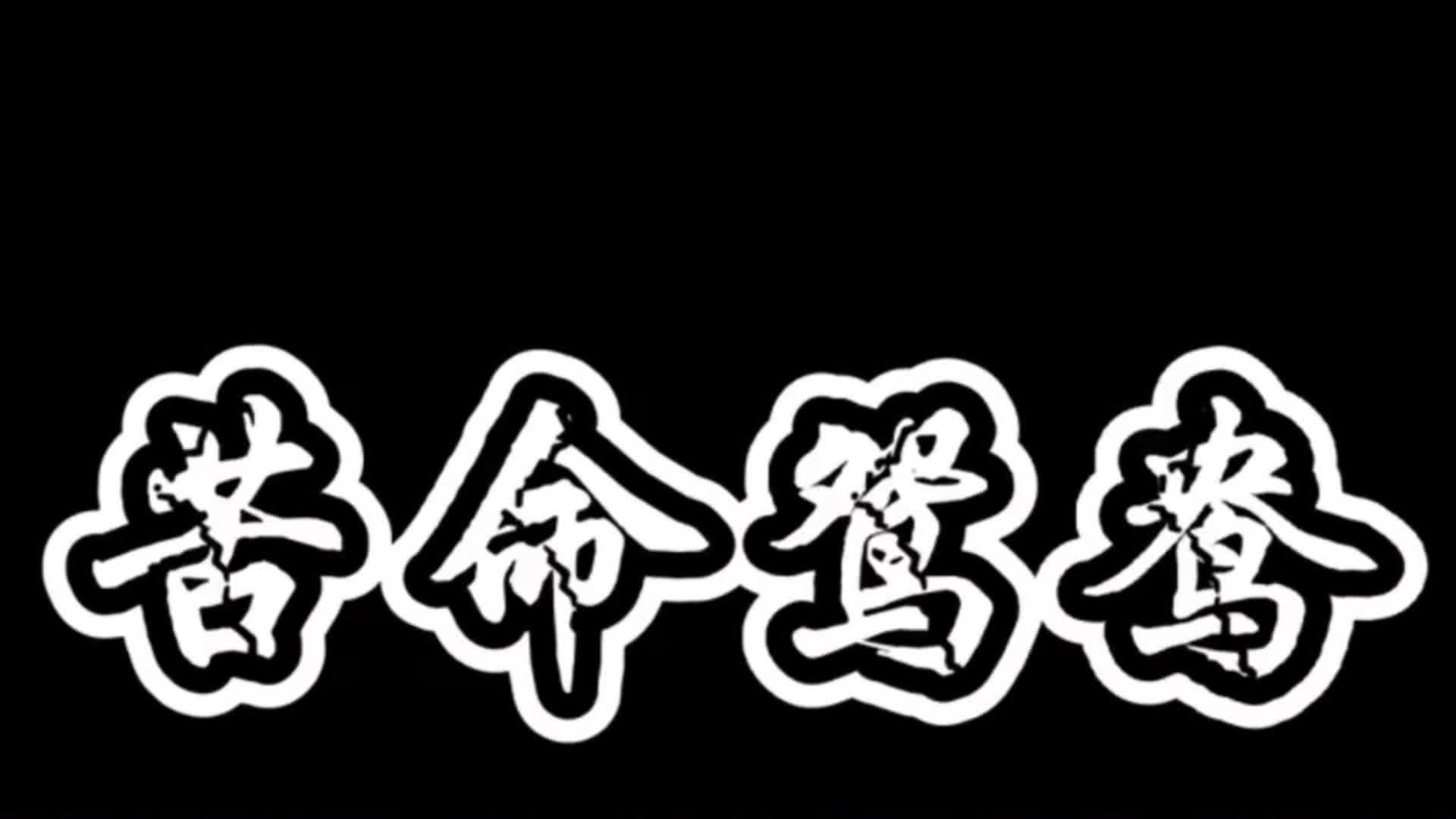 《苦命鸳鸯》幸福和未来还是要握在自己手里