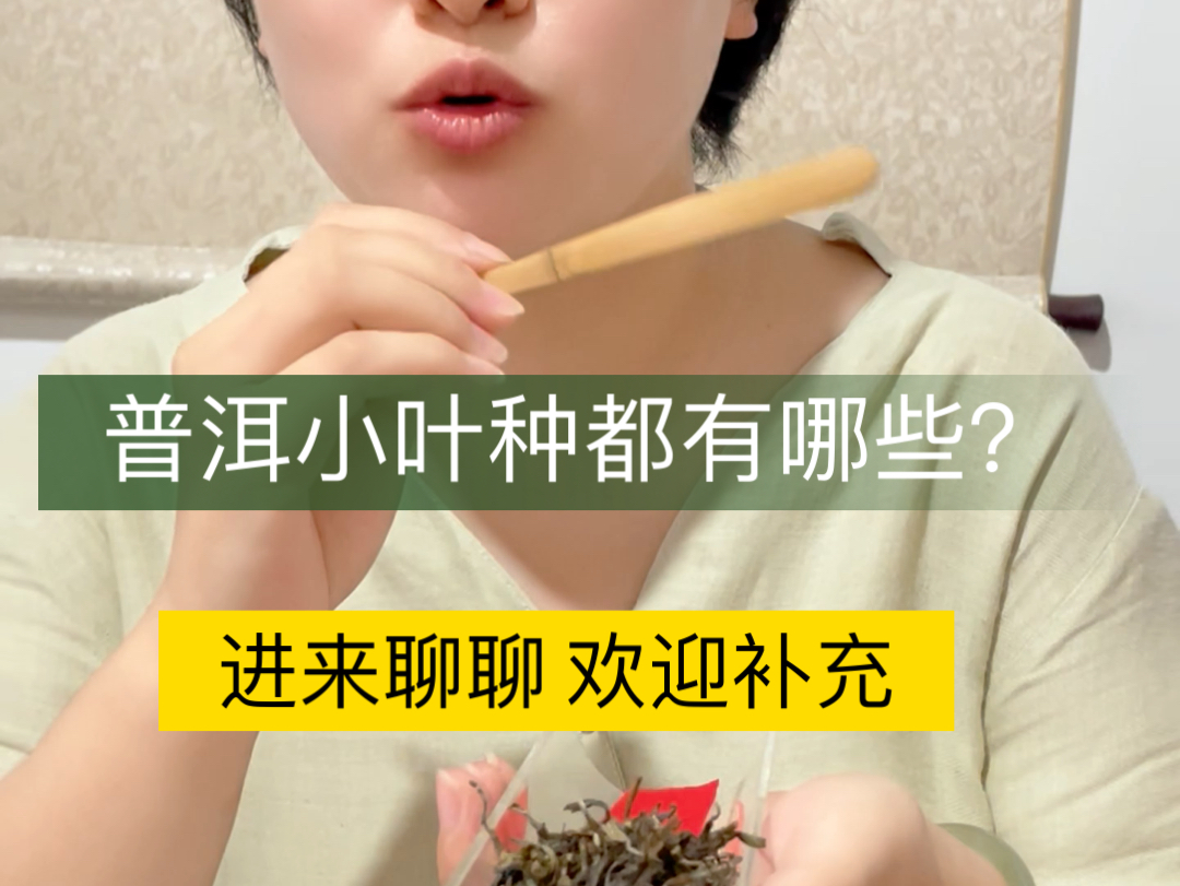 普洱茶中的小叶种你都知道哪些呢?哔哩哔哩bilibili