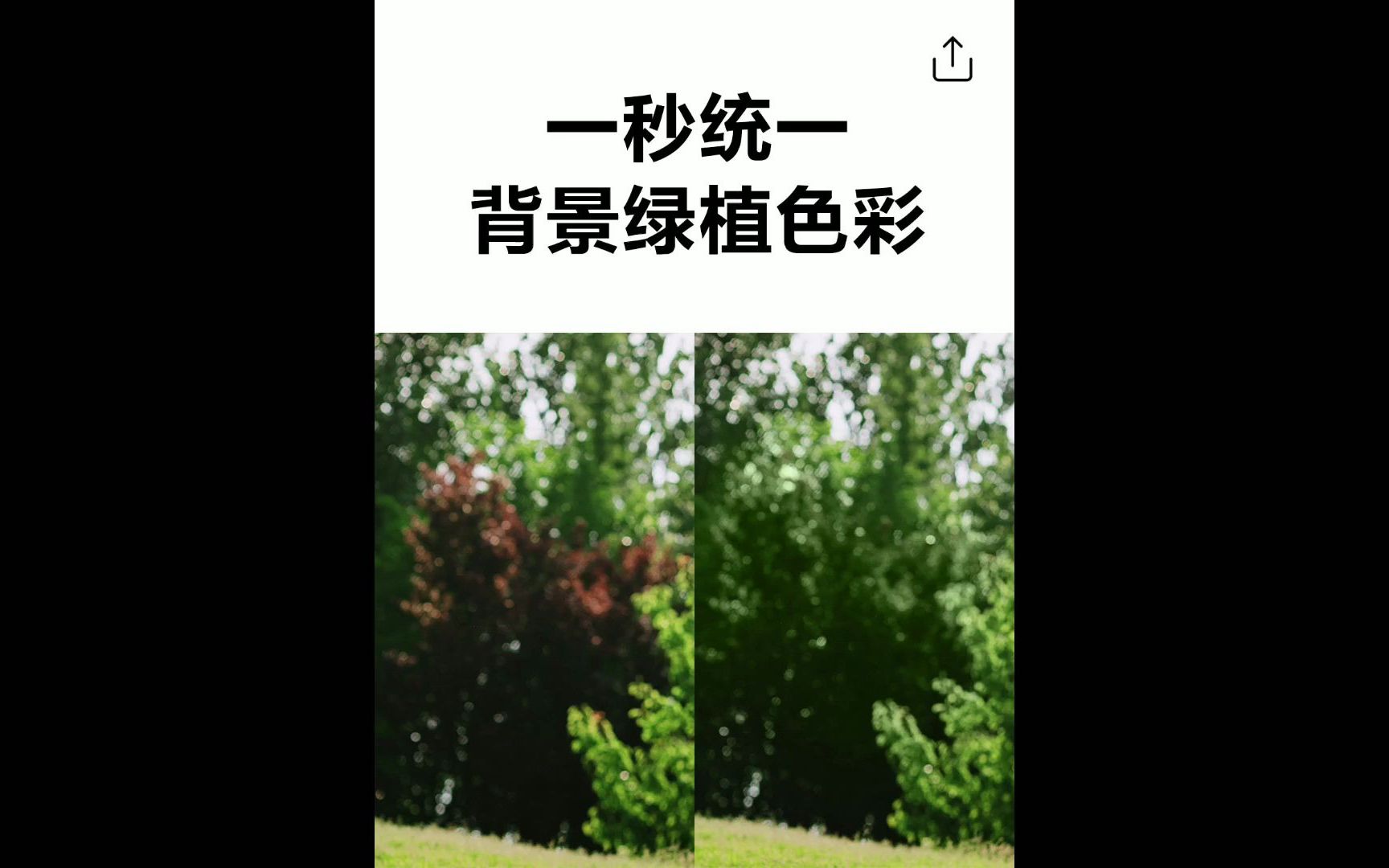 如何用ps一秒统一绿植色彩哔哩哔哩bilibili