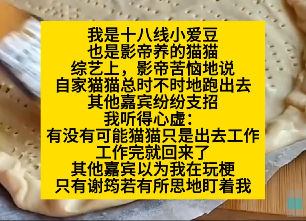 双男主 我是十八线小爱豆,也是影帝的猫……可可爱爱小甜饼……小说推荐哔哩哔哩bilibili