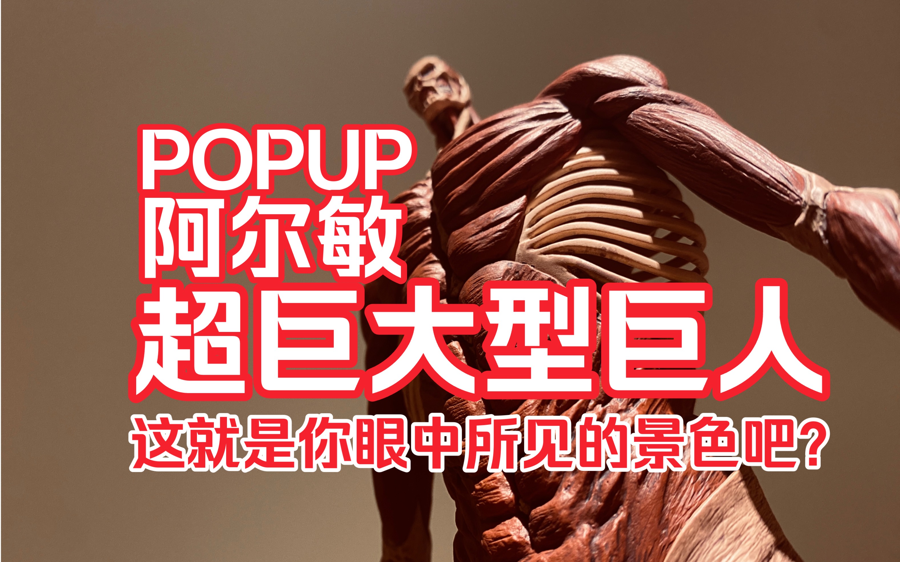 [图]【饭君与巨人】GSC POPUP 阿尔敏 超巨大型巨人 手办测评