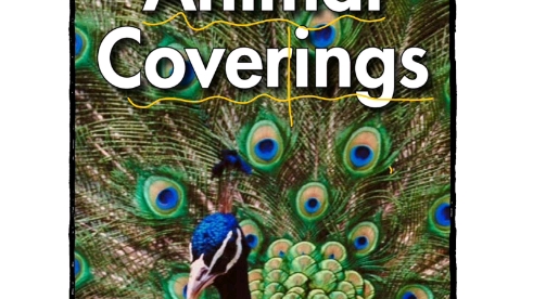 [图]RAZ讲解 B级 Animal Coverings