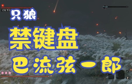 【只狼】【禁键盘】【禁忍义手】【禁道具】【禁改键】击杀巴流弦一郎单机游戏热门视频