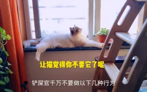 Tải video: 铲屎官千万别寒了小猫咪的心呦！