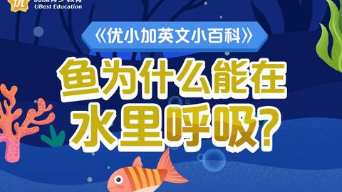 鱼为什么能在水里呼吸 哔哩哔哩 Bilibili