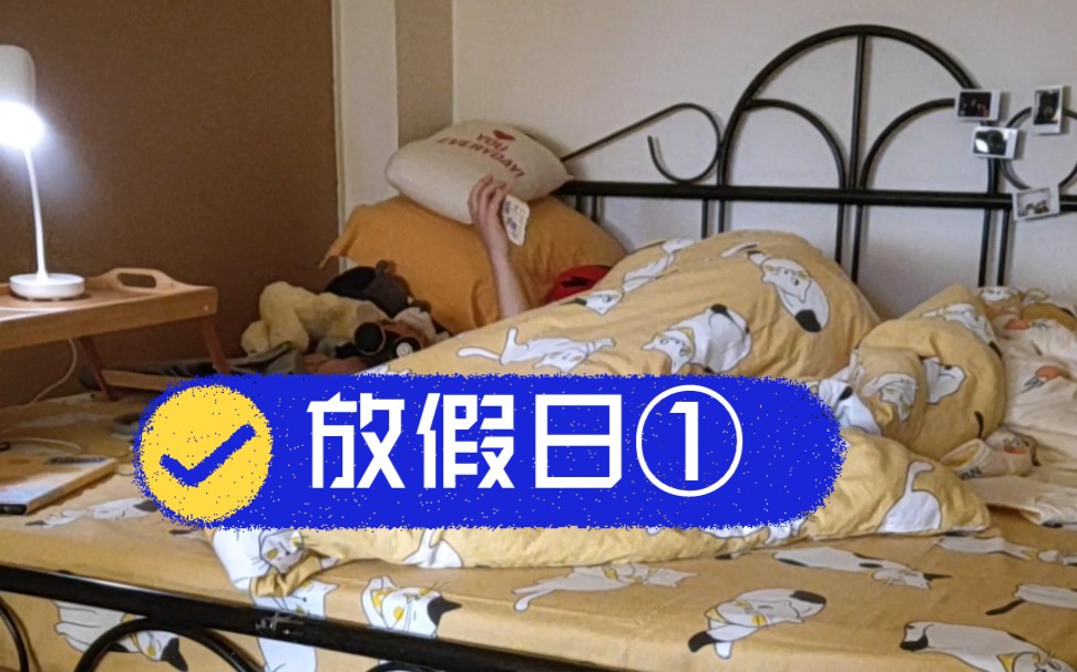 【放假日】吃完饭吃完药继续睡觉