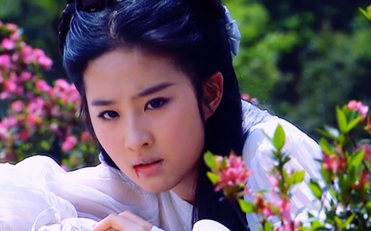 刘亦菲吐血粗剪|摸鱼产物_哔哩哔哩_bilibili