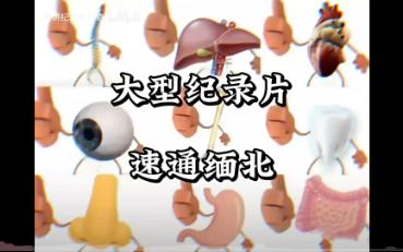 [图]大型纪录片《速通缅北》