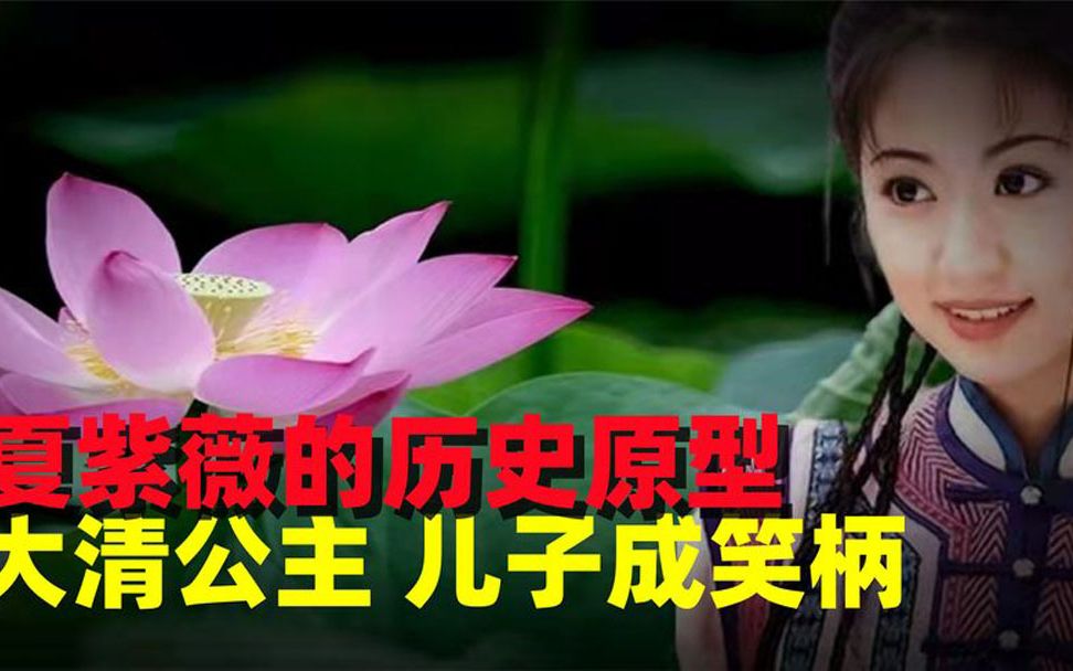 她就是夏紫薇的历史原型,大清最光耀的公主,儿子却被人耻笑