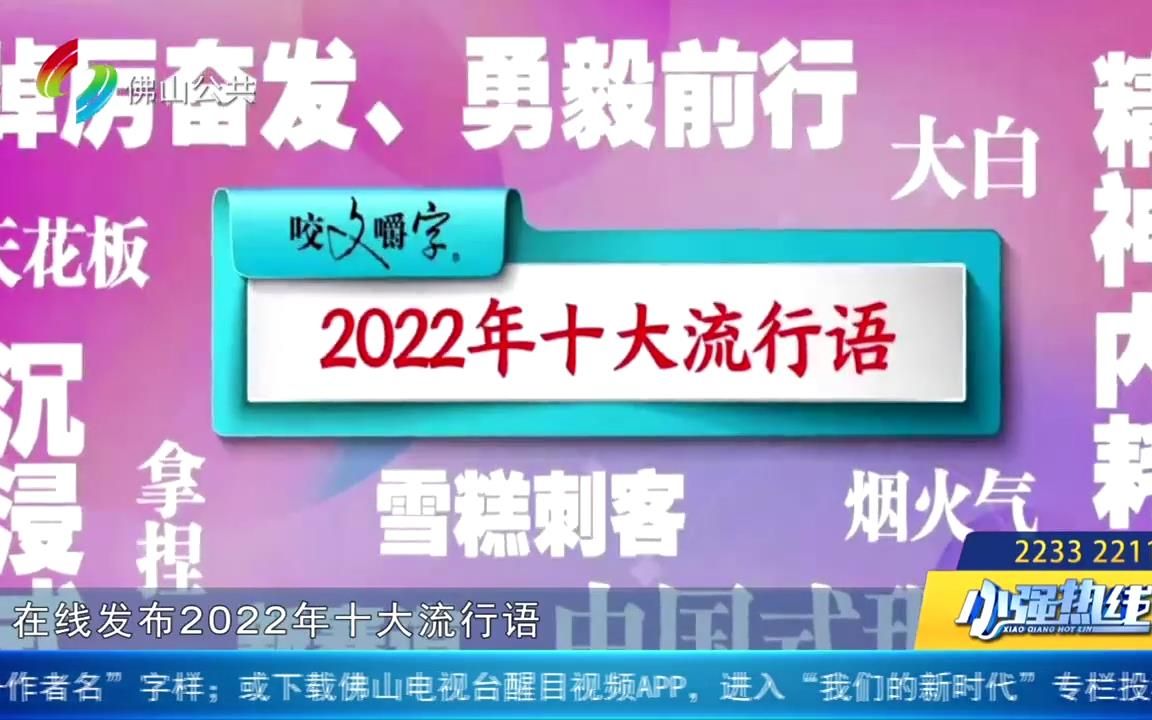 2022十大流行语新鲜出炉 全民造句你最爱哪一个?哔哩哔哩bilibili