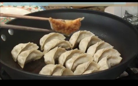 鸡肉锅贴 How to Make Chicken Pot Stickers哔哩哔哩bilibili