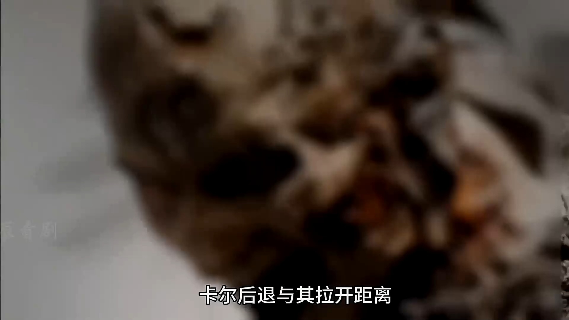 行尸走肉