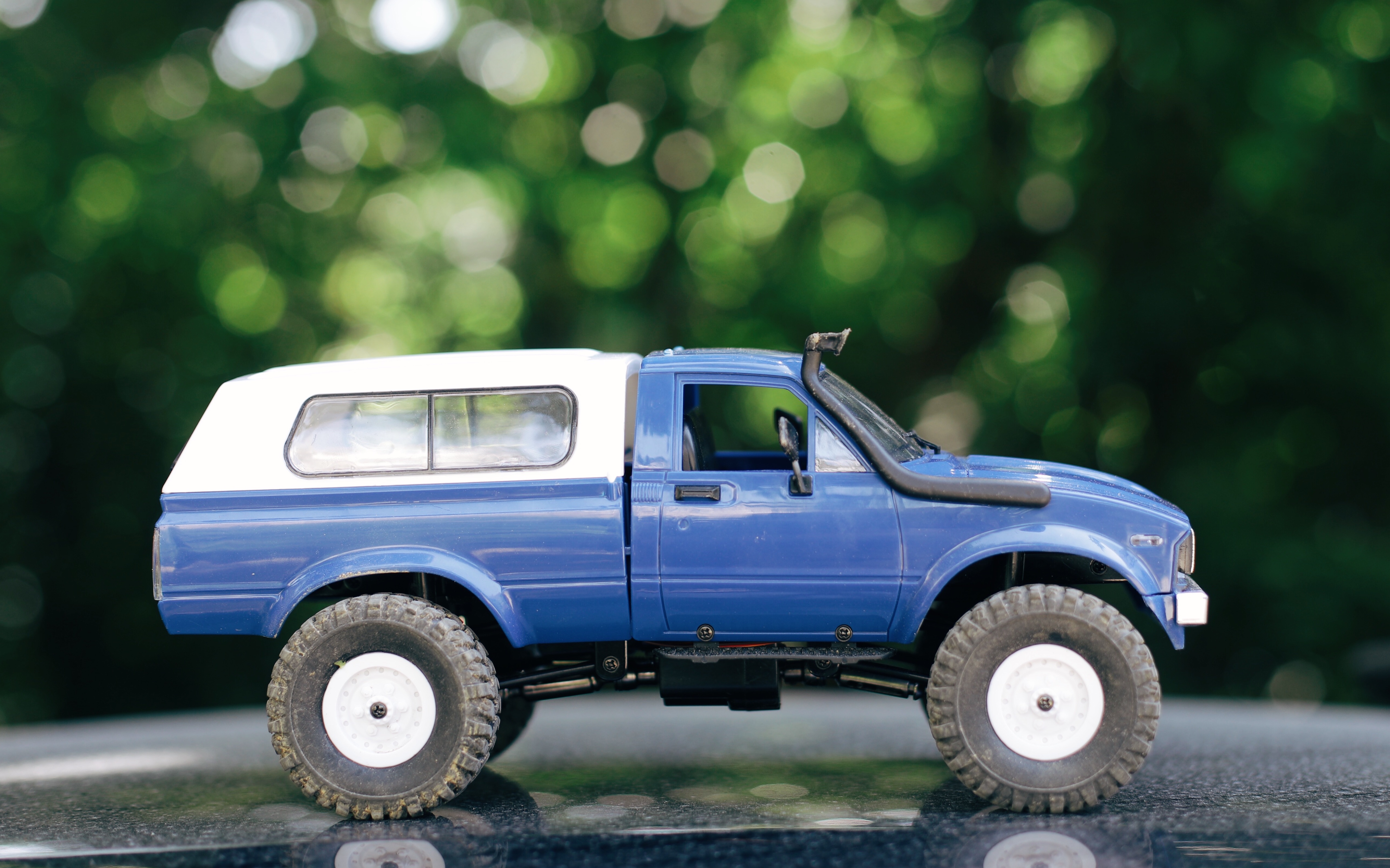 顽皮龙wpl c24 草地驾驶