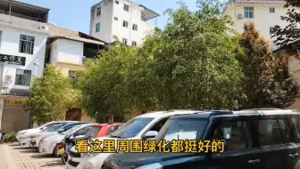 在华坪生活很好！但有一样东西，永仁可能是云南中最好的