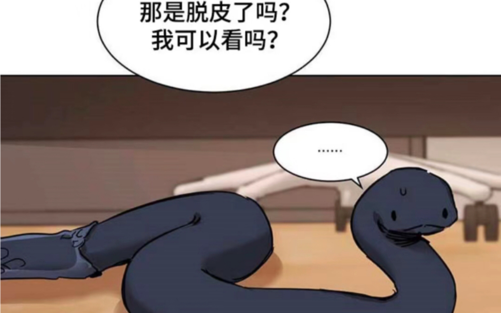 原来蛇蛇有?两个器官?谁能科普一下?哔哩哔哩bilibili