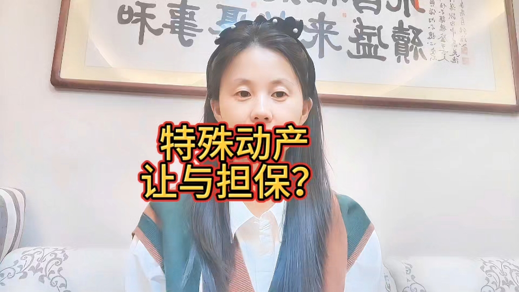 特殊动产让与担保?哔哩哔哩bilibili