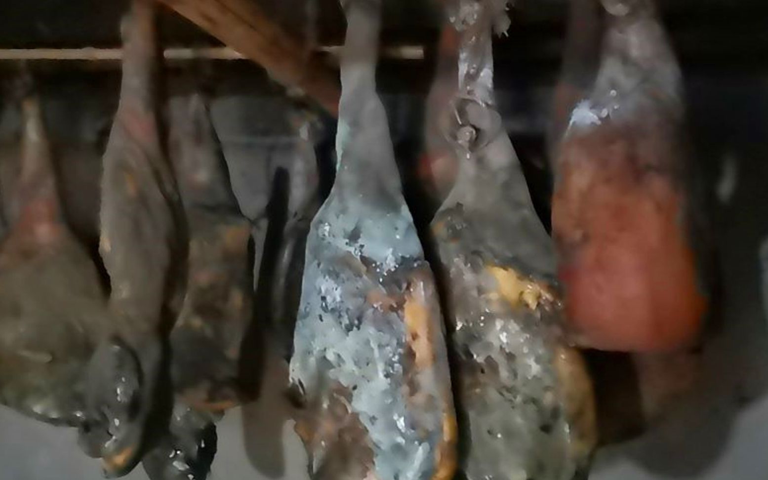 云南农村正宗老火腿,浑身长满绿霉,却是上等食材