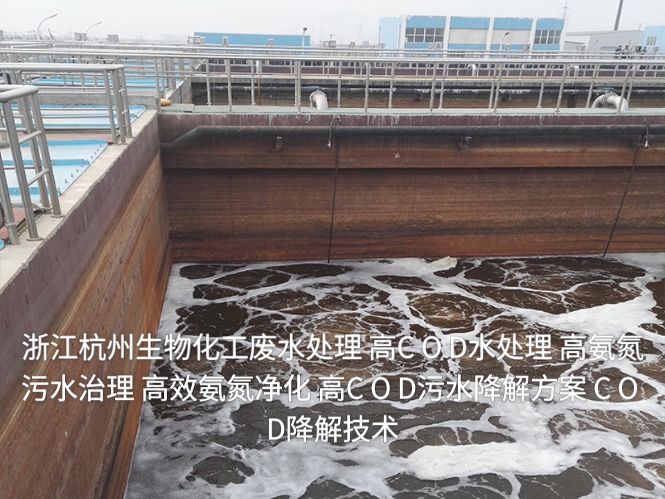 浙江杭州生物化工废水处理 高COD水处理 高氨氮污水治理 高效氨氮净化 高COD污水降解方案 高效COD降解技术哔哩哔哩bilibili