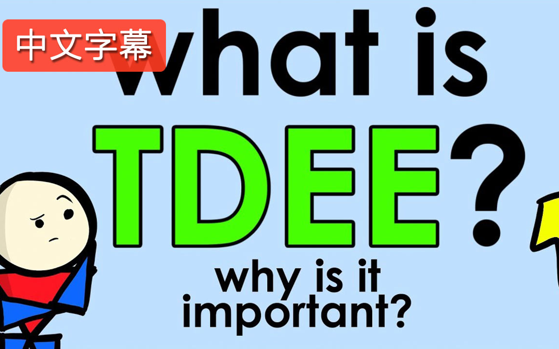 什么是“TDEE”?| 中文字幕哔哩哔哩bilibili