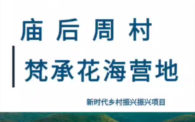 庙后周村 梵承花海营地——新时代乡村振兴振兴项目哔哩哔哩bilibili