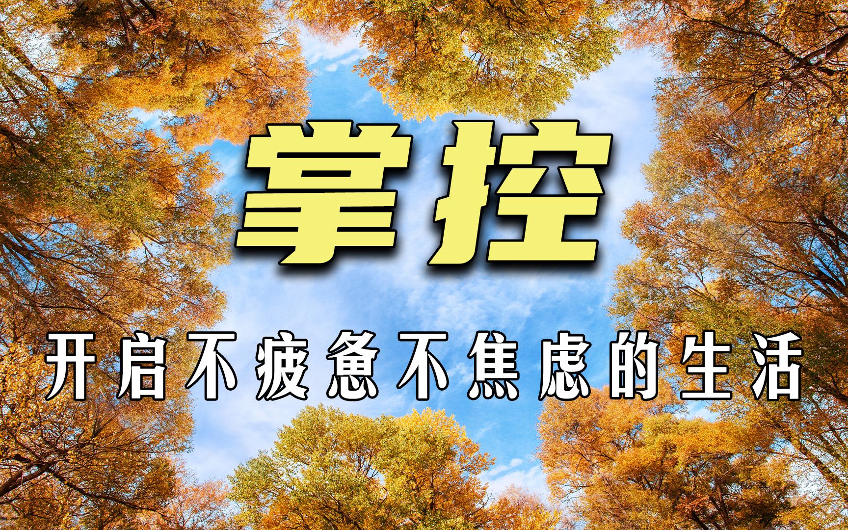 《掌控:开启不疲惫、不焦虑的人生》,精力管理,活出全新的自己哔哩哔哩bilibili