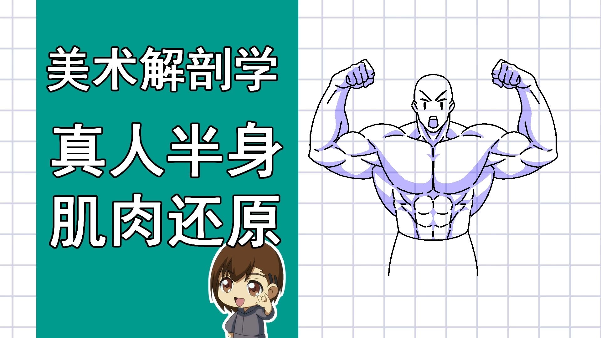 美术解剖学-71-真人上半身肌肉绘制还原