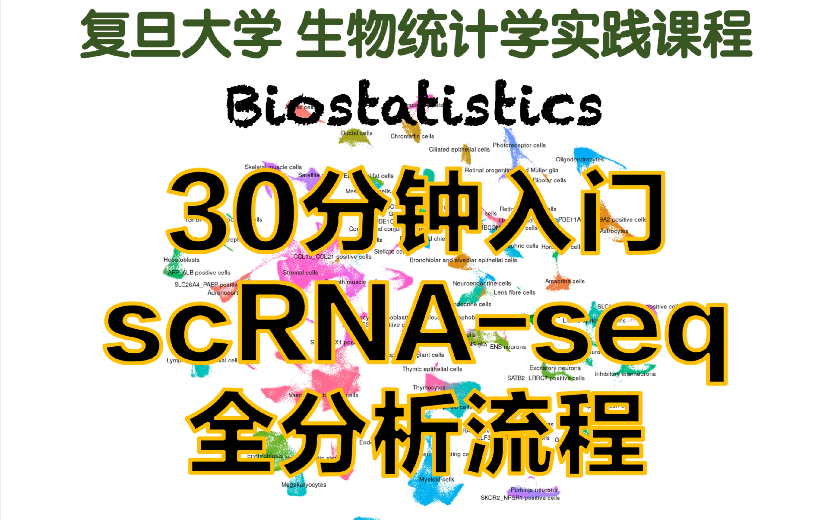 [图]【FDU生统实践课-2】单细胞RNA-seq全流程分析 30分钟入门