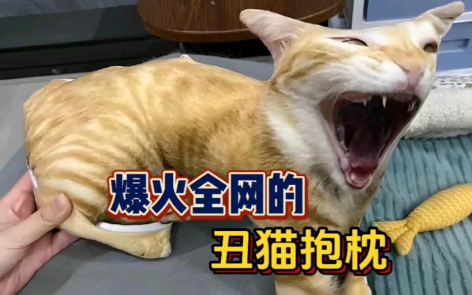 爆火全网的丑猫抱枕,你给猫咪定制了吗?哔哩哔哩bilibili