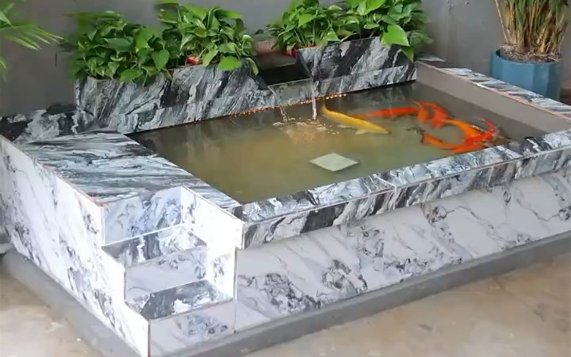 活动作品农村小伙修一个特色鱼池太有创意了