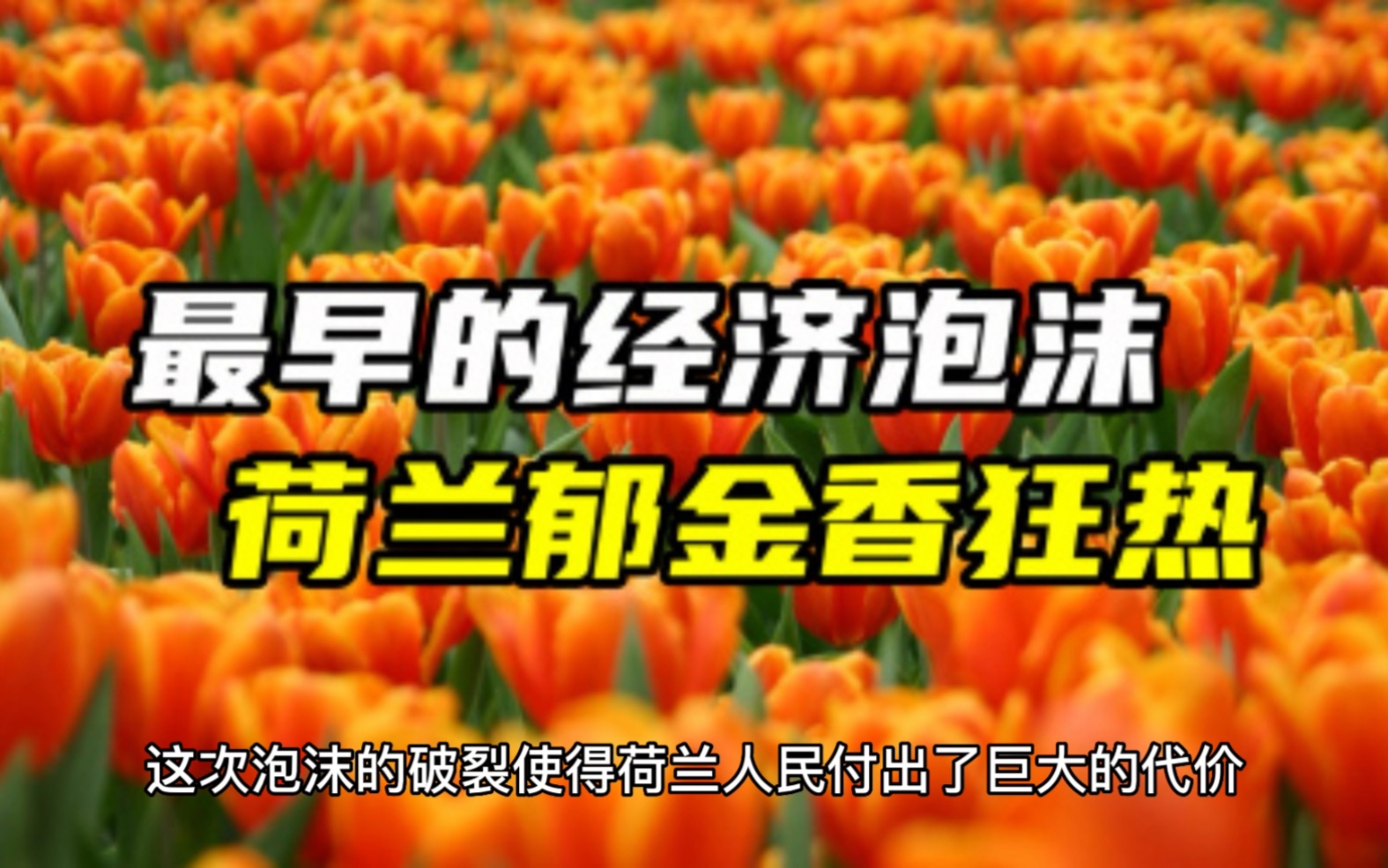 荷兰郁金香泡沫:金融史上的教训和启示