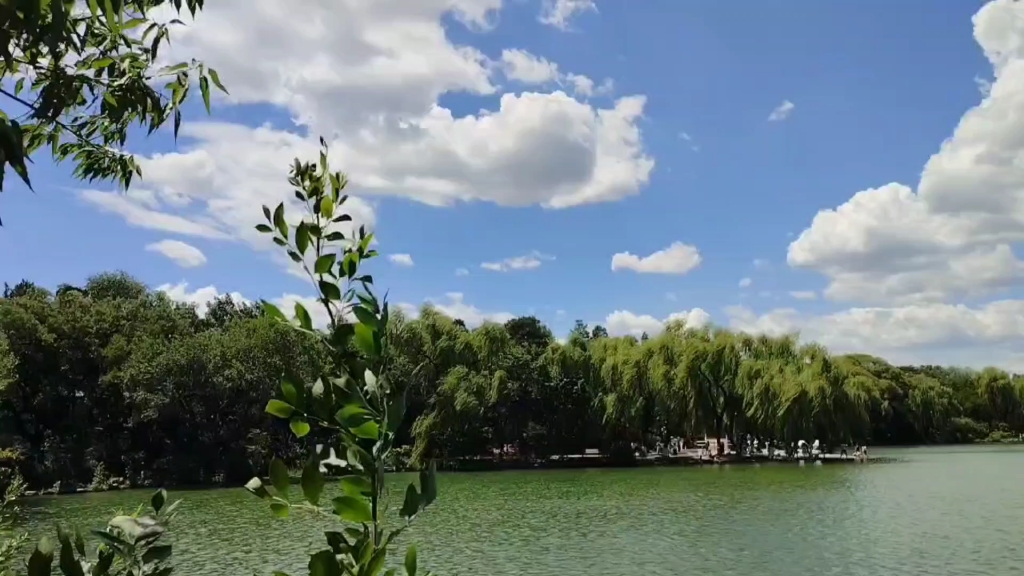 逛公园一路风景如画山清水秀风景秀丽湿地公园天然氧吧