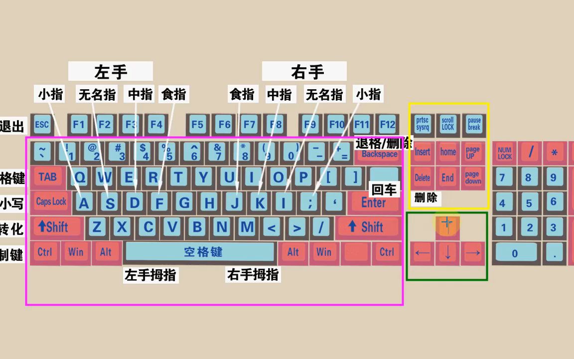 零基礎電腦知識,掌握鍵盤標準指法,打字速度和準確率都可以提高