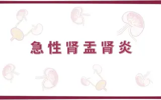 急性肾盂肾炎 搜索结果 哔哩哔哩 Bilibili