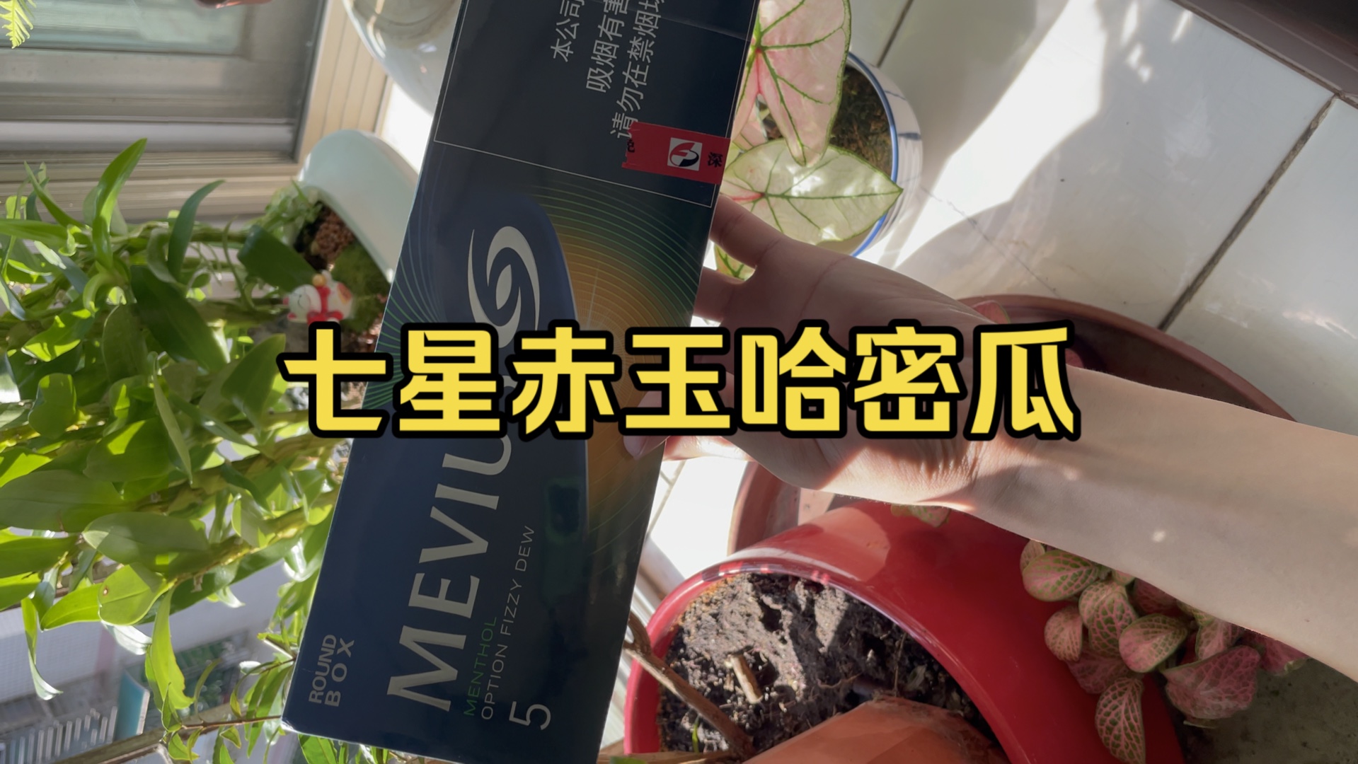 中免税版七星赤玉哈密瓜爆珠,深圳免税店代购实拍正品,云斯顿哈密瓜