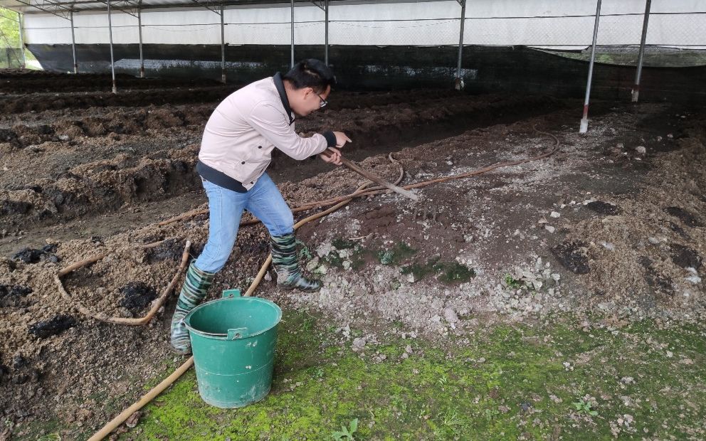 年产100万蚯蚓厂巡逻,翻开蚯蚓床,发现了什么?哇哇大叫吓坏了_哔哩哔