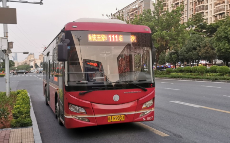 【高考特辑】南宁白马公交111路(智和沙井路口——五象岭地铁站)部分