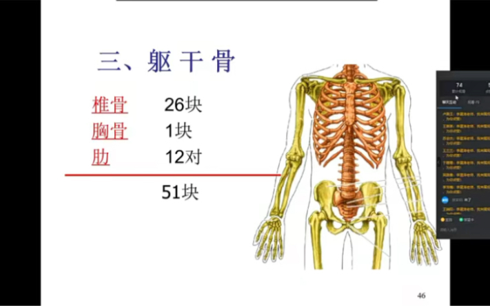 [图]【解剖学基础】躯干骨（长视频上传也太困难了ರ_ರ