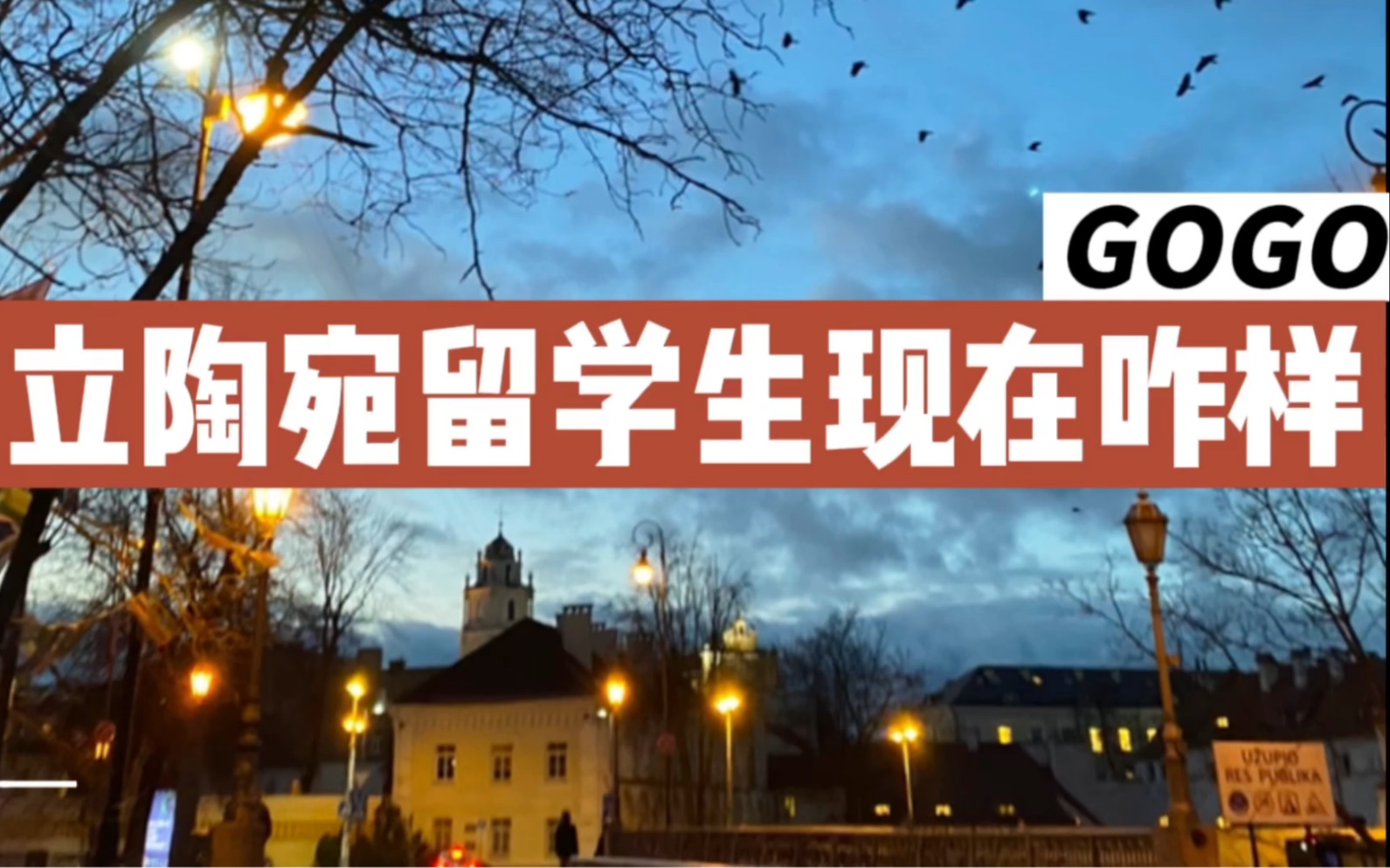 立陶宛留学生现在咋样了?我在说废话和吐槽(只关于我自己的事)别浪费您宝贵的时间^^哔哩哔哩bilibili