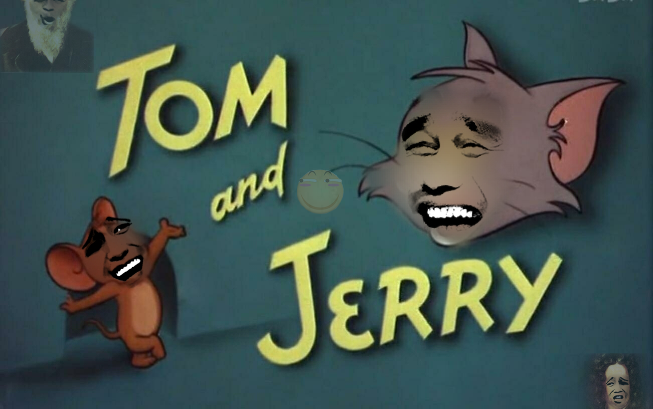 猫和老鼠鬼畜配音 幻想乡♂协定