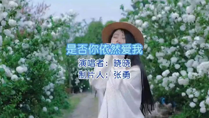 《是否你依然爱我》演唱 晓晓 视频制作 张勇哔哩哔哩bilibili