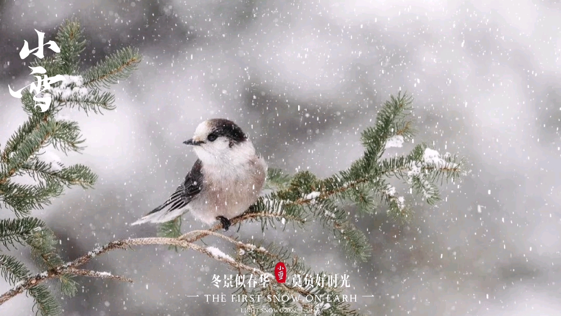 二十四节气小雪:冬景似春华,莫负好时光.长歌暖浮生,度细水流年.哔哩哔哩bilibili