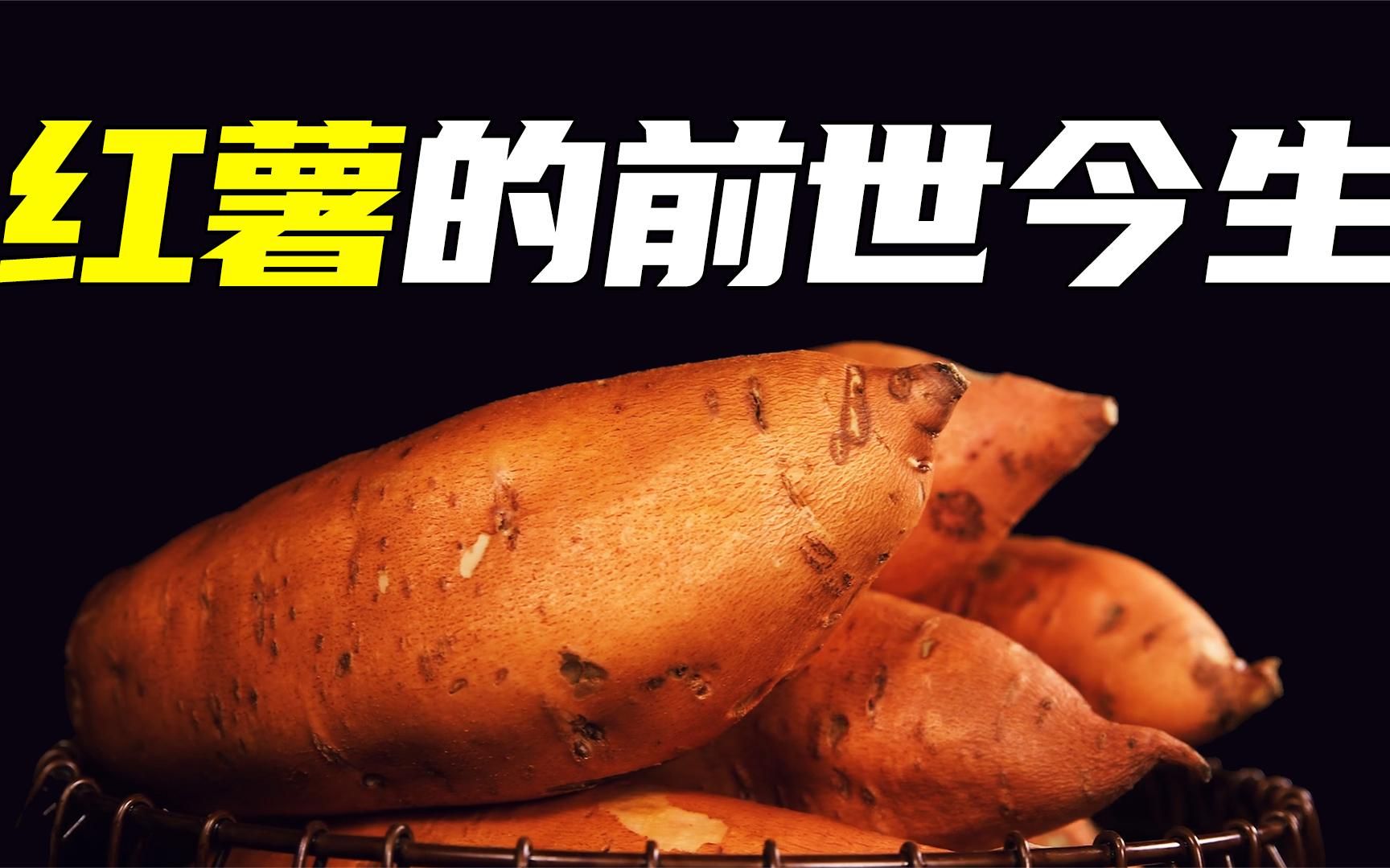 改写中国历史进程的食物:红薯的前世今生