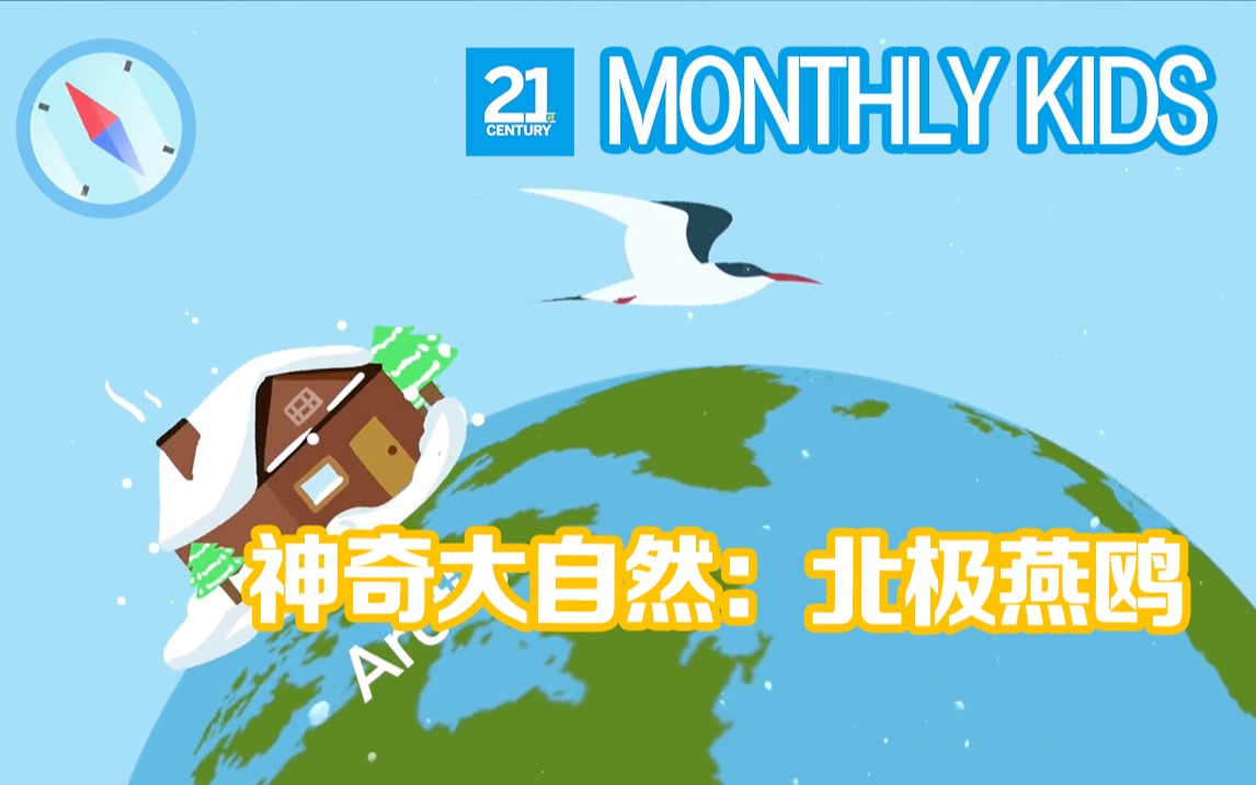 【少儿画刊】神奇大自然Arctic tern:极地旅行家!哔哩哔哩bilibili