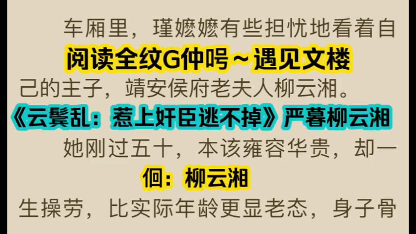 热门小说推荐《云鬓乱:惹上奸臣逃不掉》严暮柳云湘哔哩哔哩bilibili