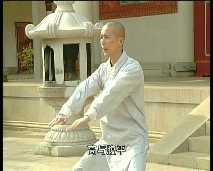 [图]中华传统武术南少林五祖拳系列——二十拳