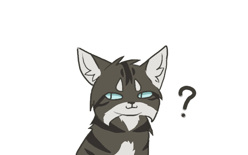 猫武士手书鹰霜的死因是玩梗