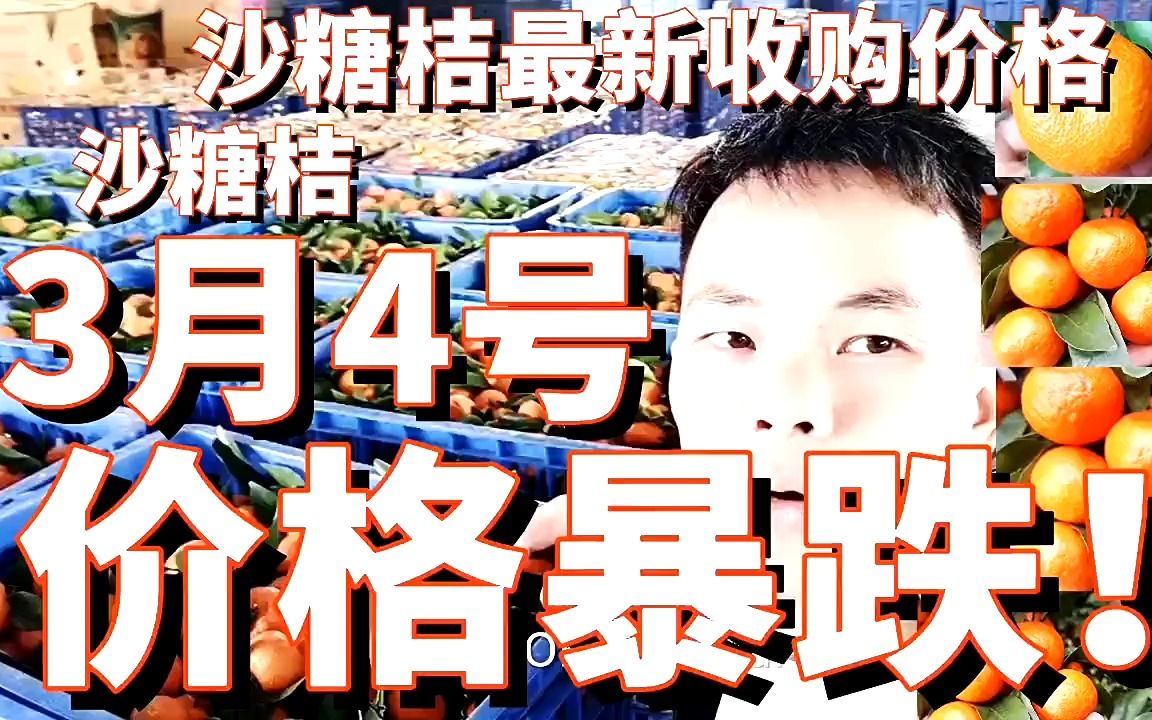 沙糖桔价格暴跌!2022.3.4沙糖桔最新收购价格是多少?彻底烂市了哔哩哔哩bilibili