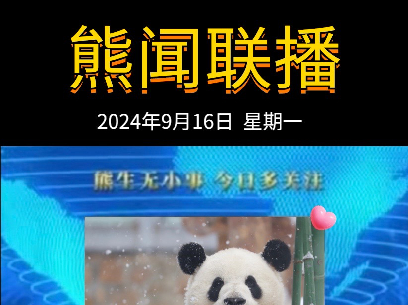 《熊闻联播》|带你了解天下熊事,2024.9.16熊圈又发生了什么?(原视频素材来源网络)哔哩哔哩bilibili