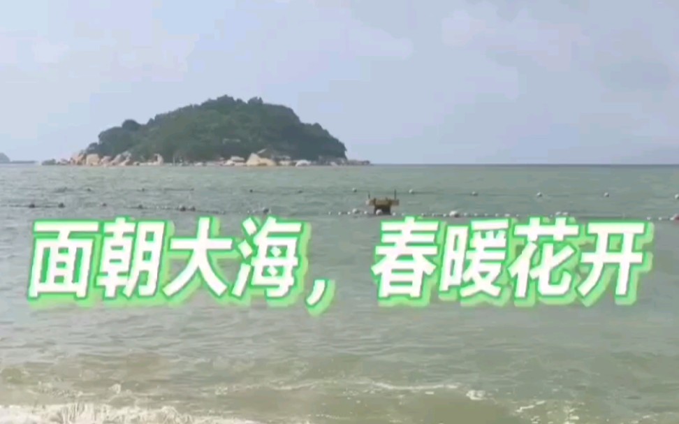 《面朝大海,春暖花开》海子诗歌赏析哔哩哔哩bilibili